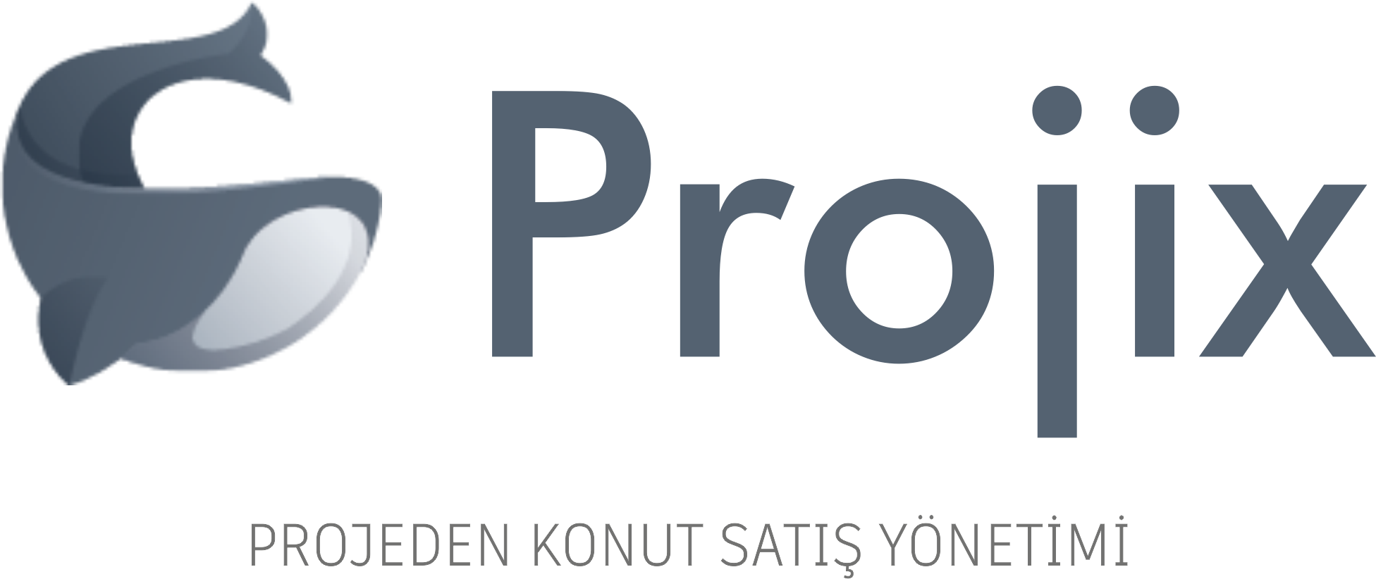 Projix Logo